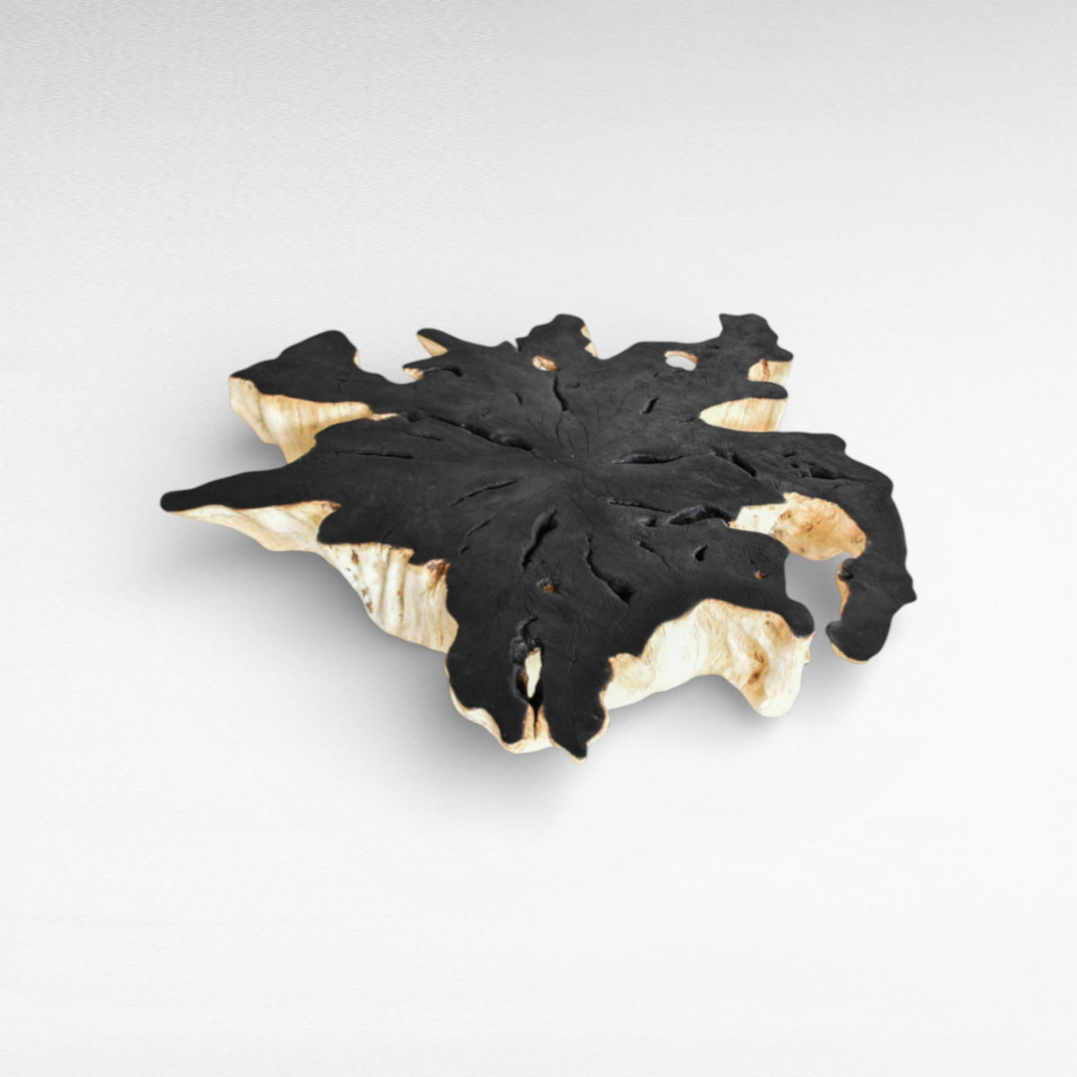 COFFEE TABLE LYCHEE WOOD BLACK & BLEACHED W170 |D120 |H45 cm