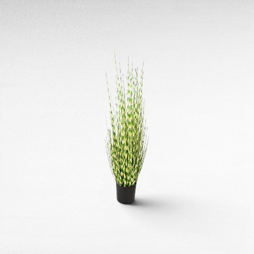 GREEN 2