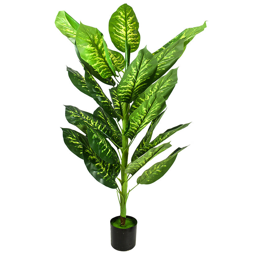GREEN 19
