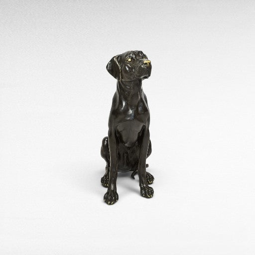 SITTING GUARD