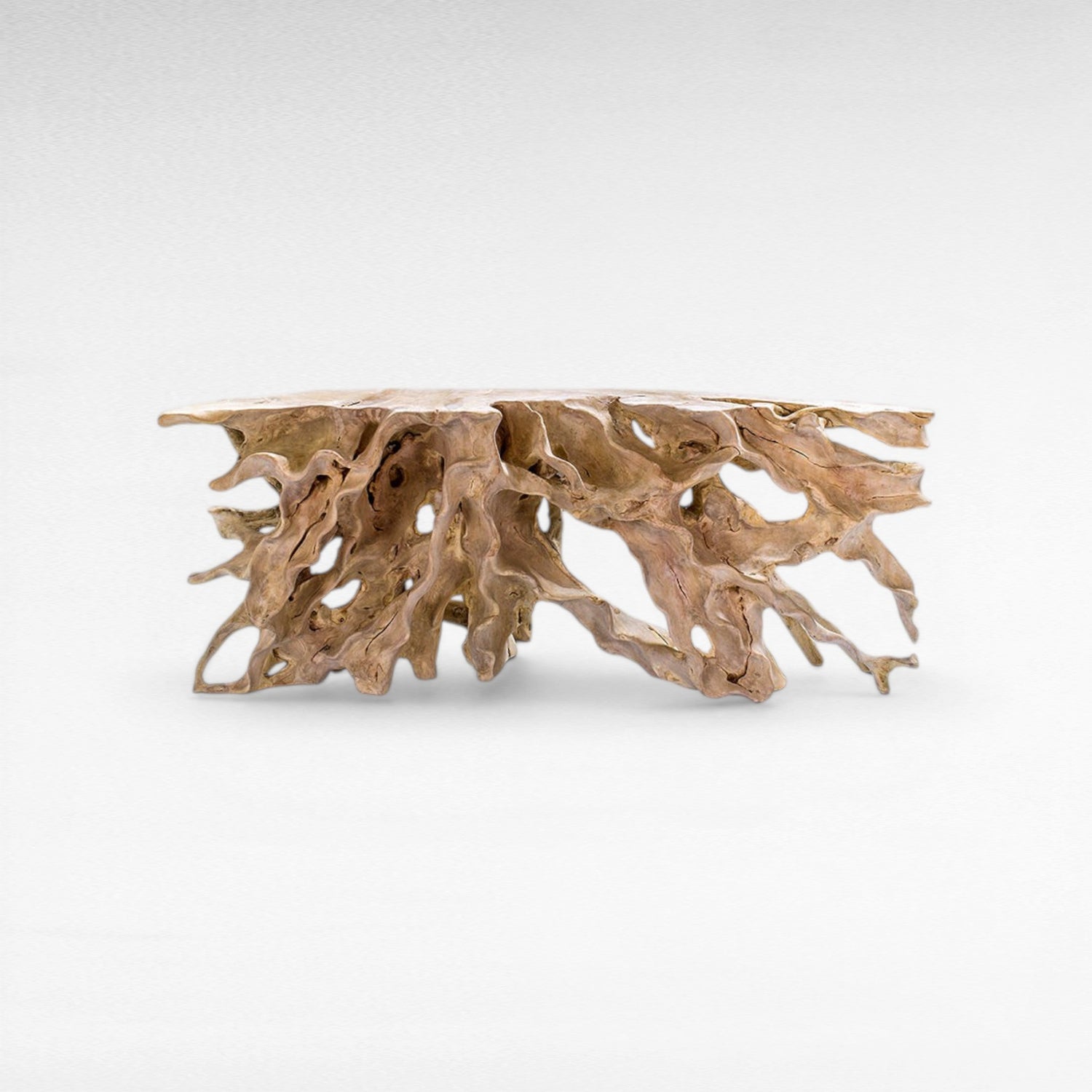 TEAK WOOD ROOT WITH GLASS BLEACHED COLOR W200 |D50 |H80 CM