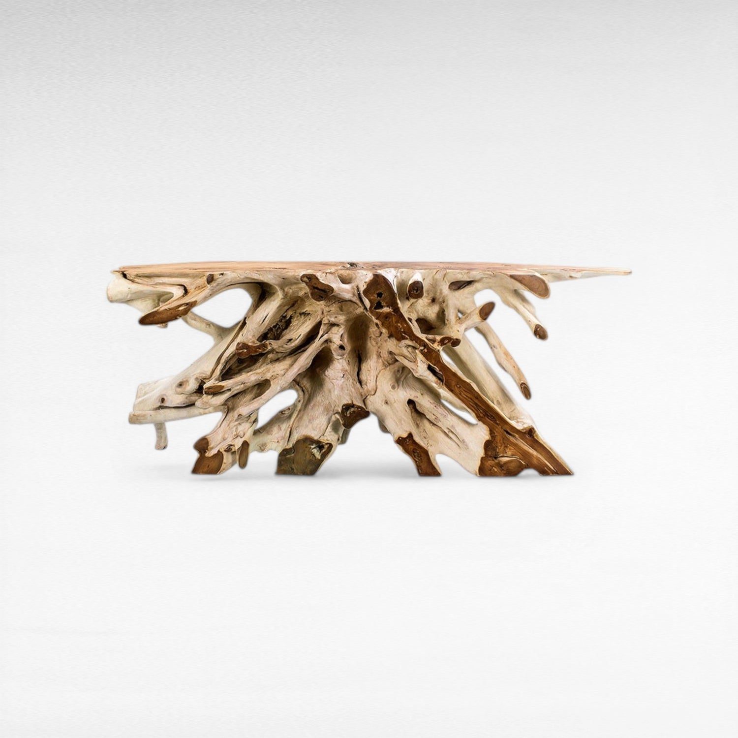 TEAK WOOD ROOT WITH GLASS BLEACHED & NATURAL COLOR W200 |D40 |H80 CM