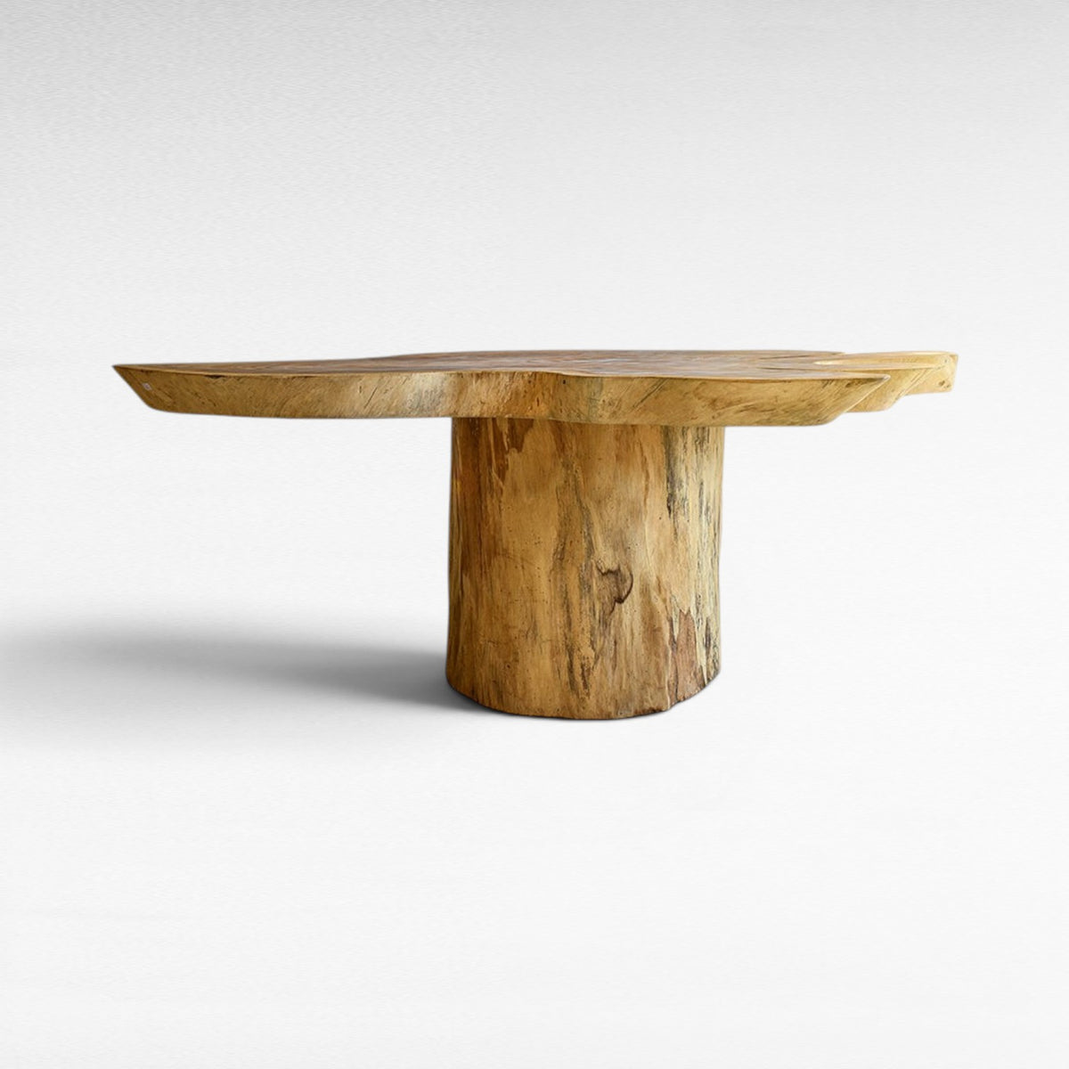 OVAL TABLE L170 |W120 |H80 cm