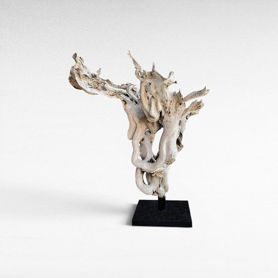 ROOT DECORATION TEAK W/ STAND - Chora Mykonos