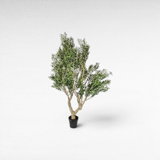 OLIVE TREE LARGE