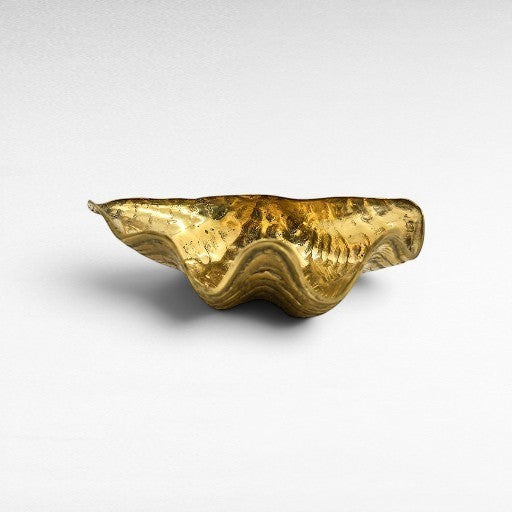 SHELL DECORATION