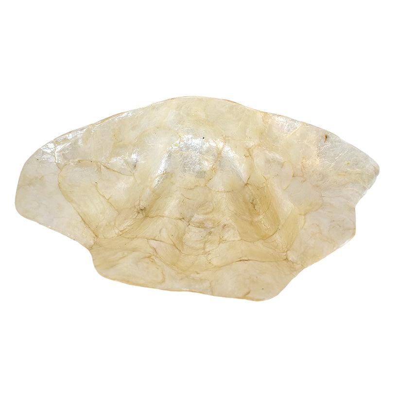 SHELL - Chora Barefoot Luxury Living