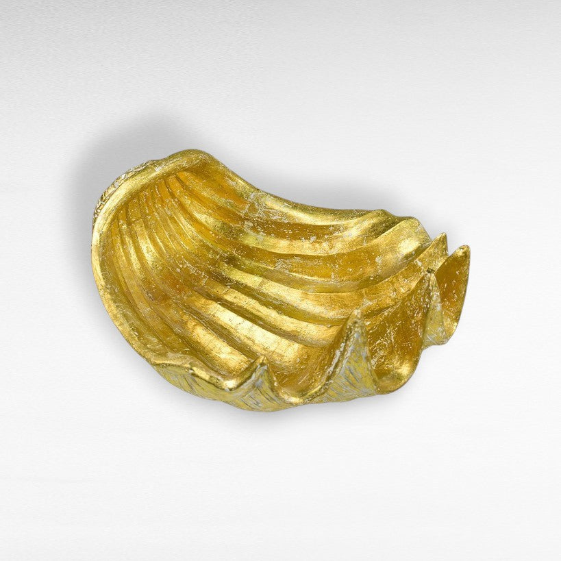 TERRACOTTA SHELL