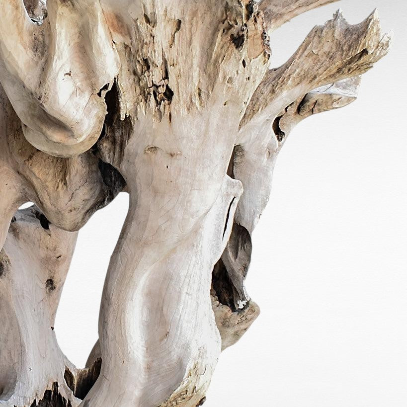 ROOT DECORATION TEAK W/ STAND - Chora Mykonos