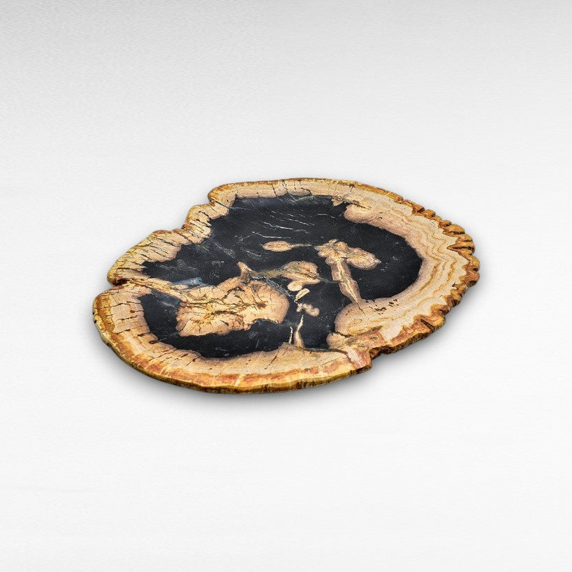 PETRIFIED WOOD PLATE - Chora Mykonos