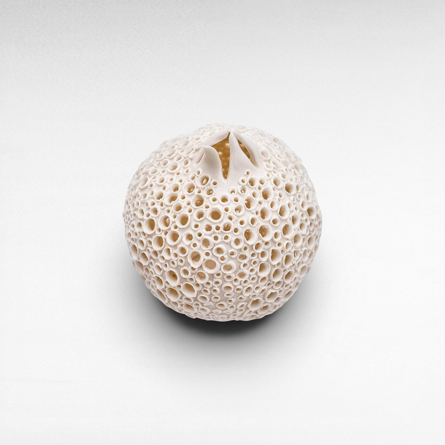 PORCELAIN POMMEGRENADE - Chora Mykonos
