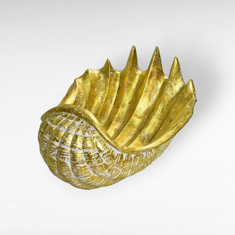 TERRACOTTA SHELL