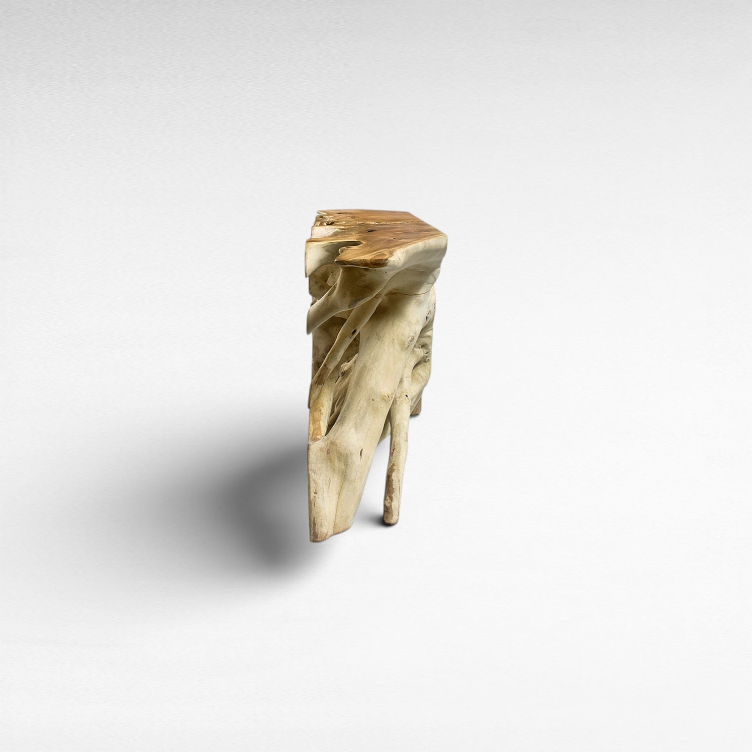 TEAK WOOD ROOT WITH GLASS BLEACHED & NATURAL COLOR W200 |D40 |H80 CM
