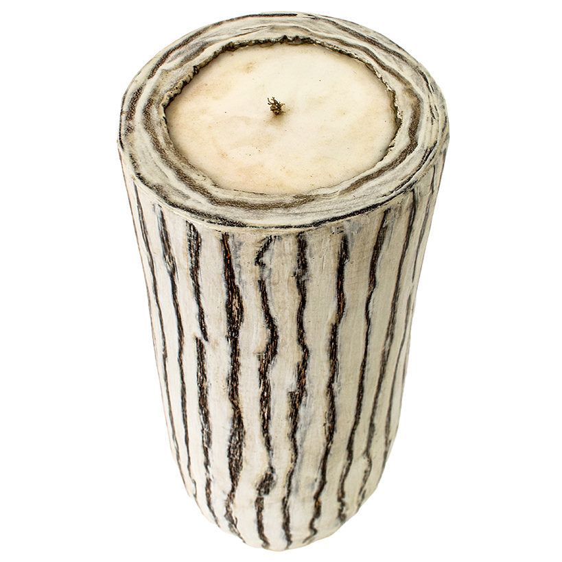 PALM POT CANDLE WHITE WASH