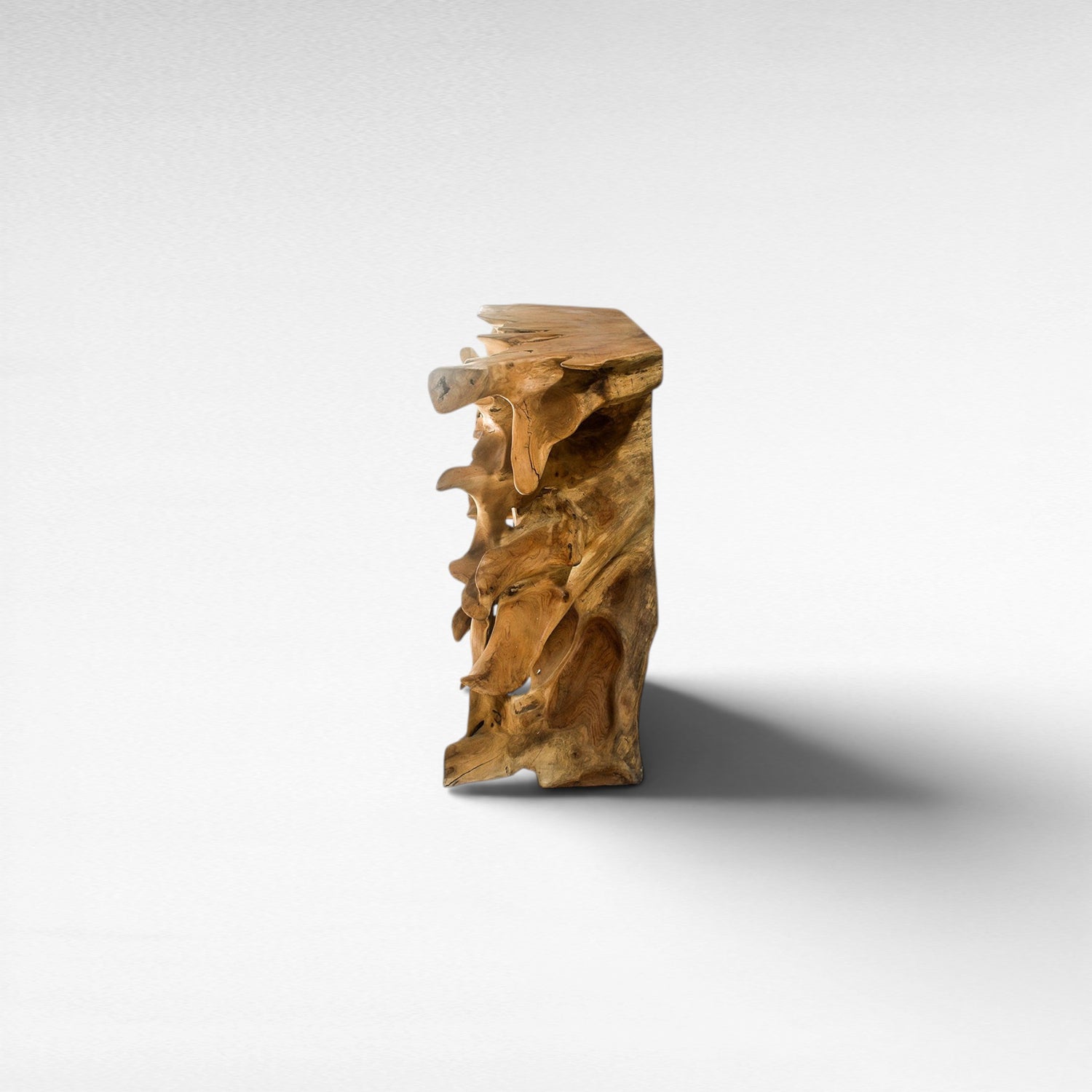 TEAK WOOD ROOT NATURAL COLOR W180 |D40 |H80 CM