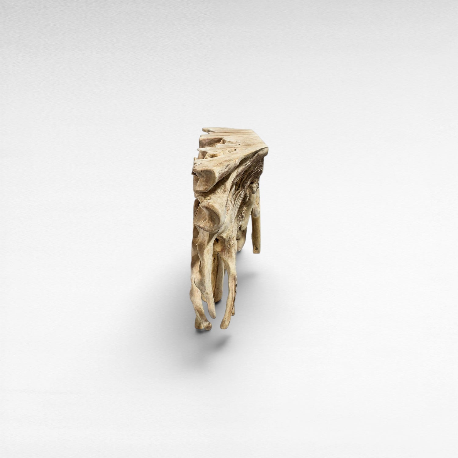 TEAK WOOD ROOT WITH GLASS BLEACHED COLOR W200 |D50 |H80 CM