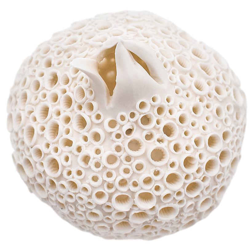 PORCELAIN POMMEGRENADE - Chora Mykonos