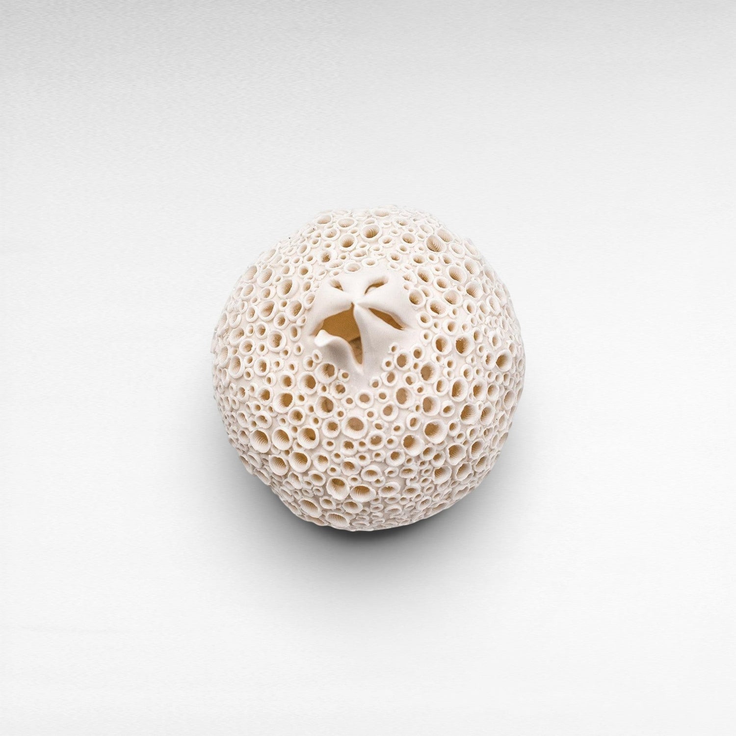 PORCELAIN POMMEGRENADE - Chora Mykonos
