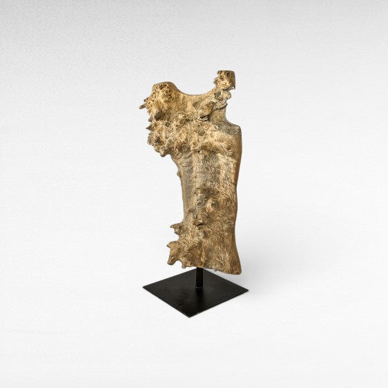 TORSO SCULPTURE