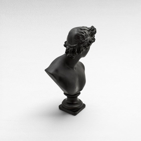 BLACK VENUS