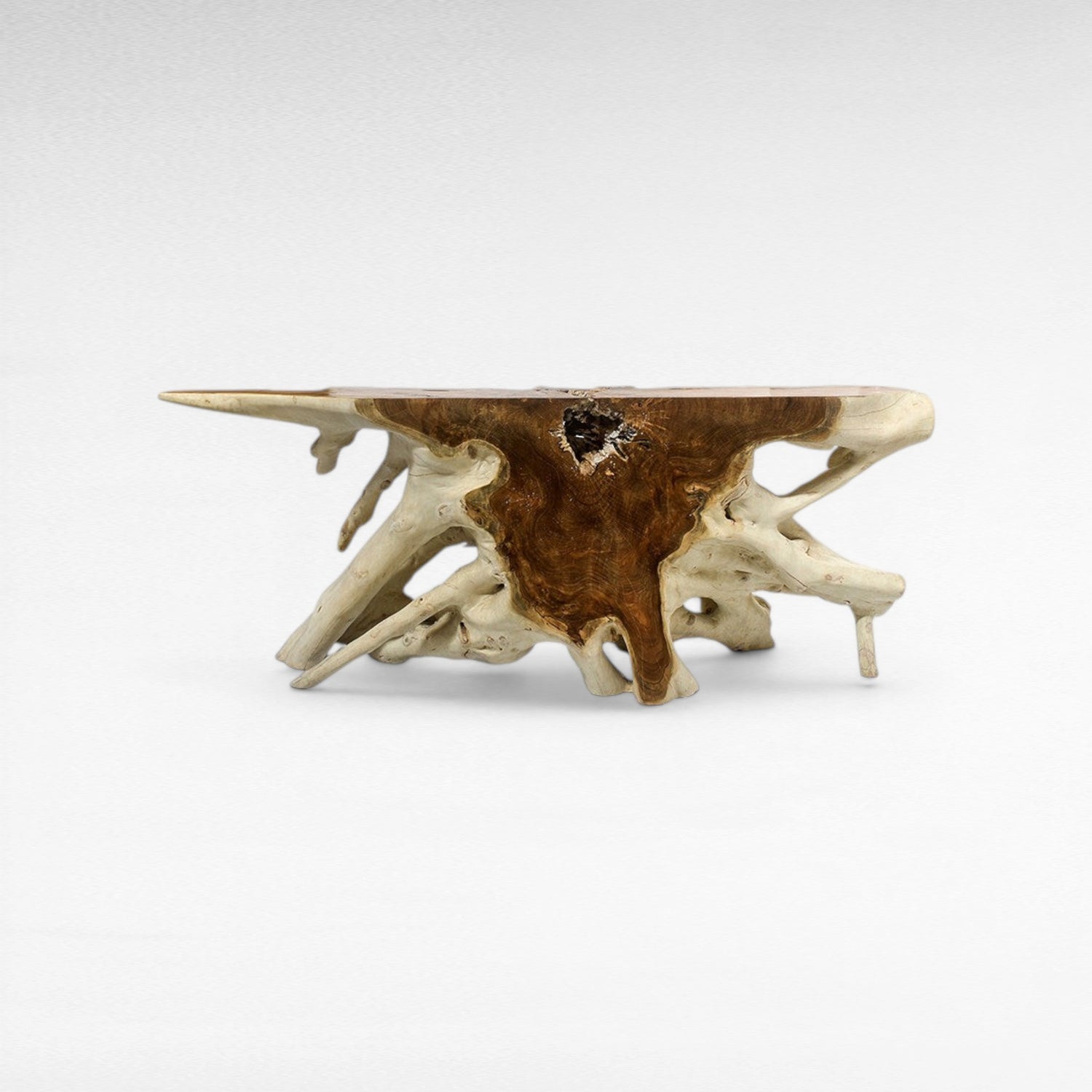 TEAK WOOD ROOT WITH GLASS BLEACHED & NATURAL COLOR W200 |D40 |H80 CM