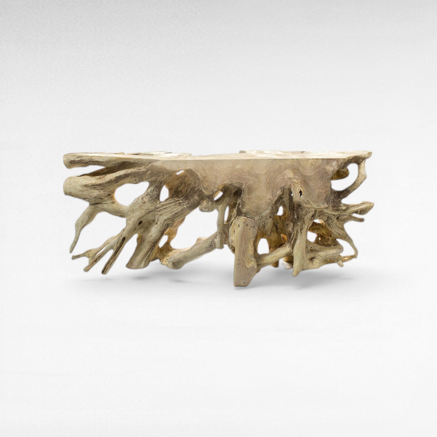 TEAK WOOD ROOT WITH GLASS BLEACHED COLOR W200 |D50 |H80 CM