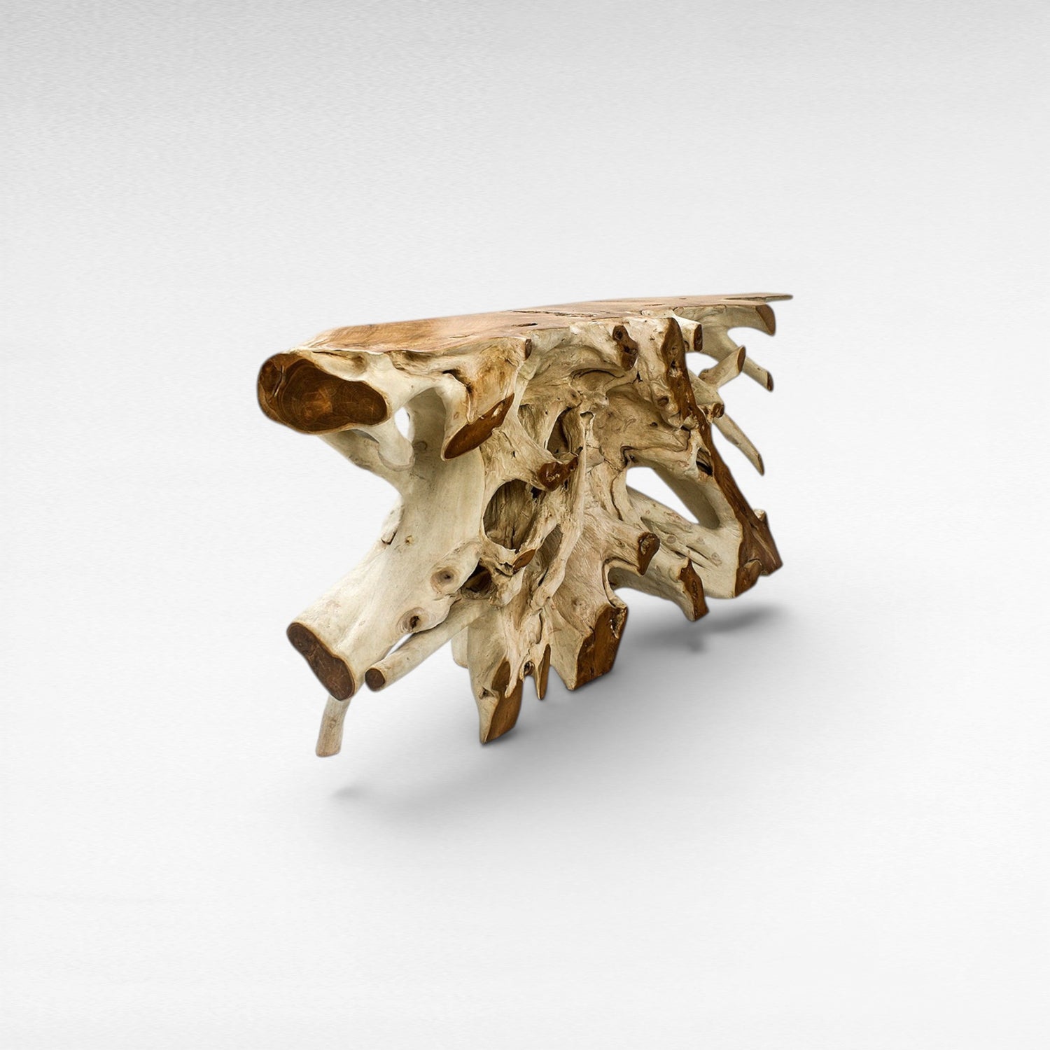 TEAK WOOD ROOT WITH GLASS BLEACHED & NATURAL COLOR W200 |D40 |H80 CM