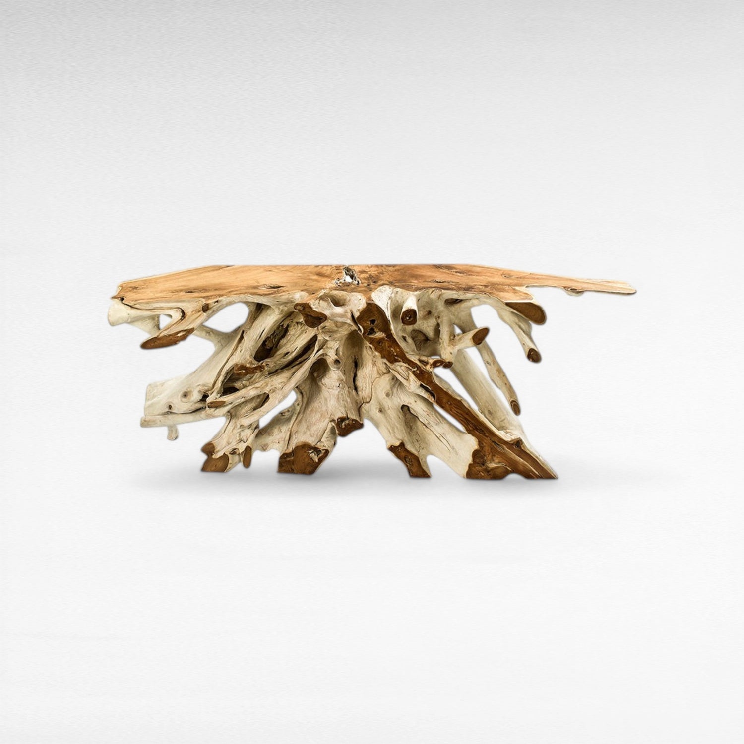 TEAK WOOD ROOT WITH GLASS BLEACHED & NATURAL COLOR W200 |D40 |H80 CM