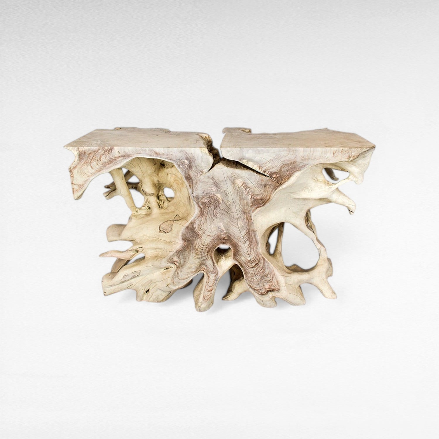 TEAK WOOD ROOT W/ GLASS BLEACHED COLOR W120 |D42 |H80 CM
