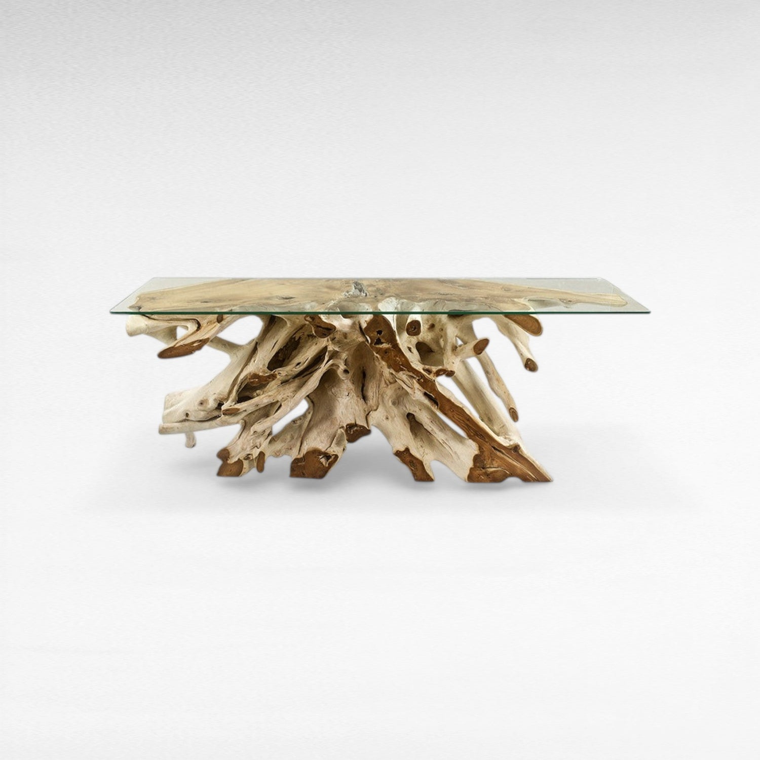 TEAK WOOD ROOT WITH GLASS BLEACHED & NATURAL COLOR W200 |D40 |H80 CM