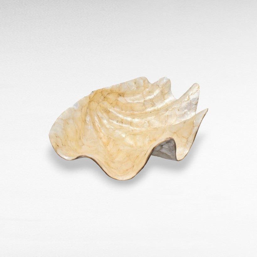 DECOR BOWL MOTHER OF PEARL WHITE 30x40x15cm