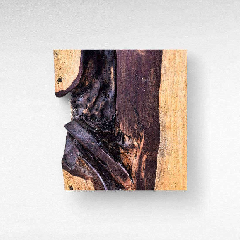 TAMARIN WOOD DINING CHAIR W55 |D50 |H128 cm