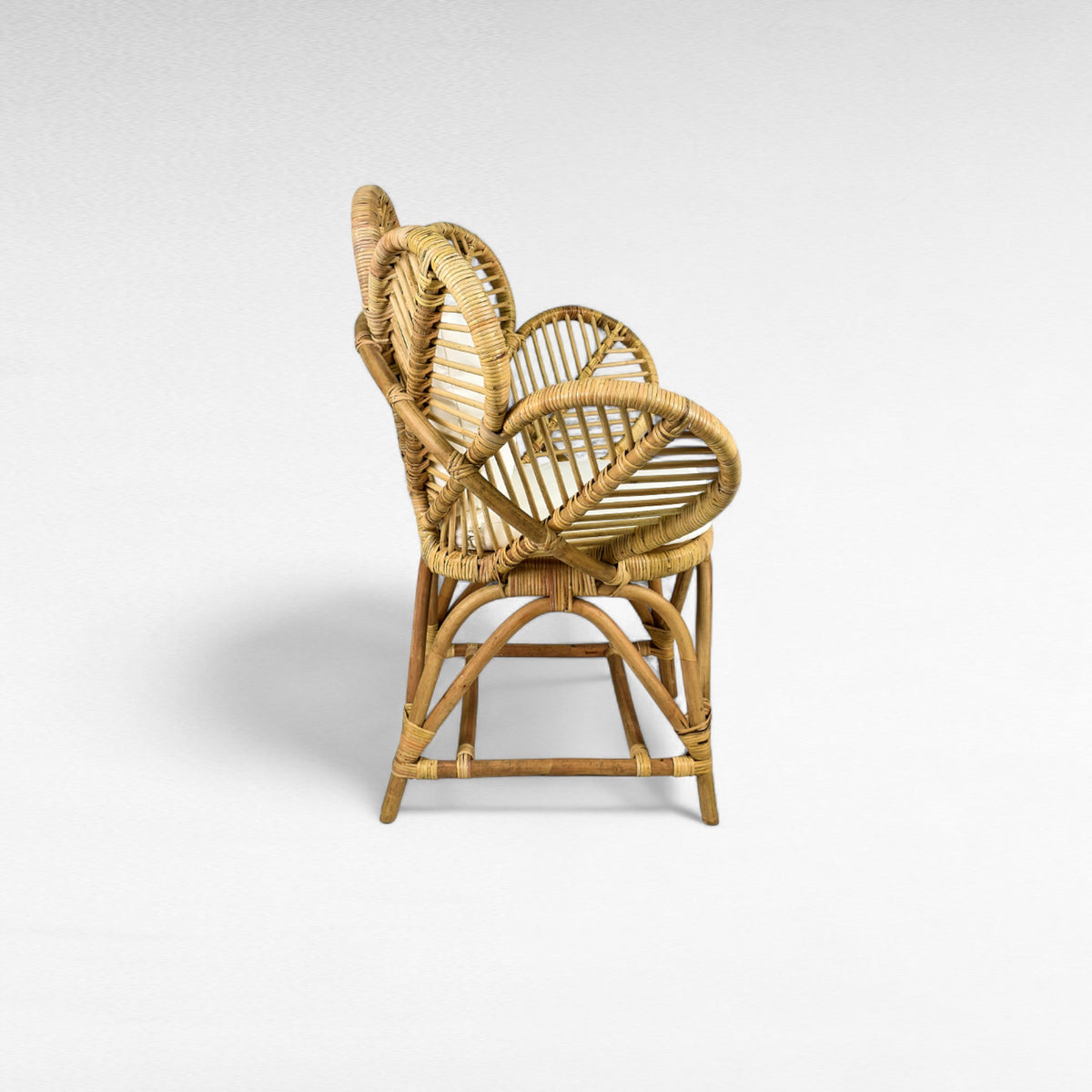 RATTAN RELAX CHAIR WITH CUSHION W90 |D64 |H100 CM