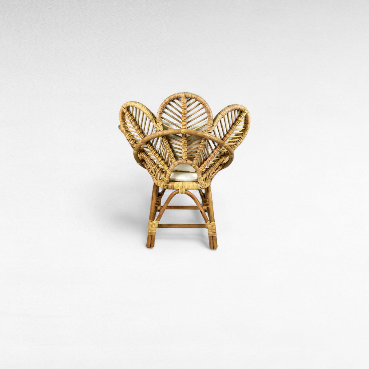 RATTAN RELAX CHAIR WITH CUSHION W90 |D64 |H100 CM