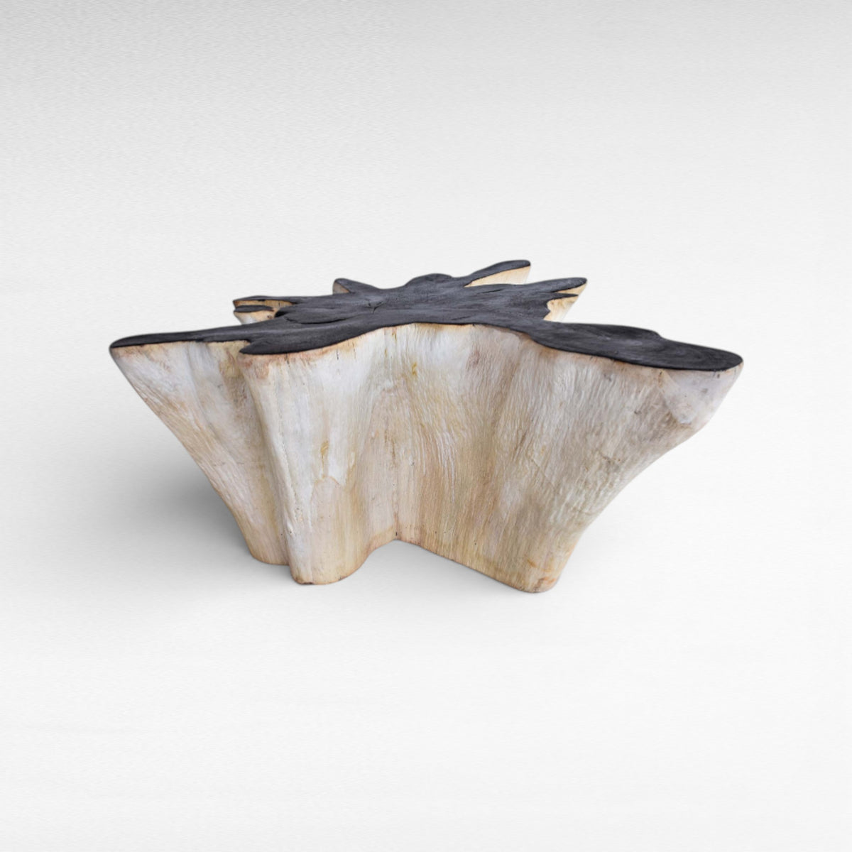 COFFEE TABLE BLEACHED & BLACK W110 |D100 |H45