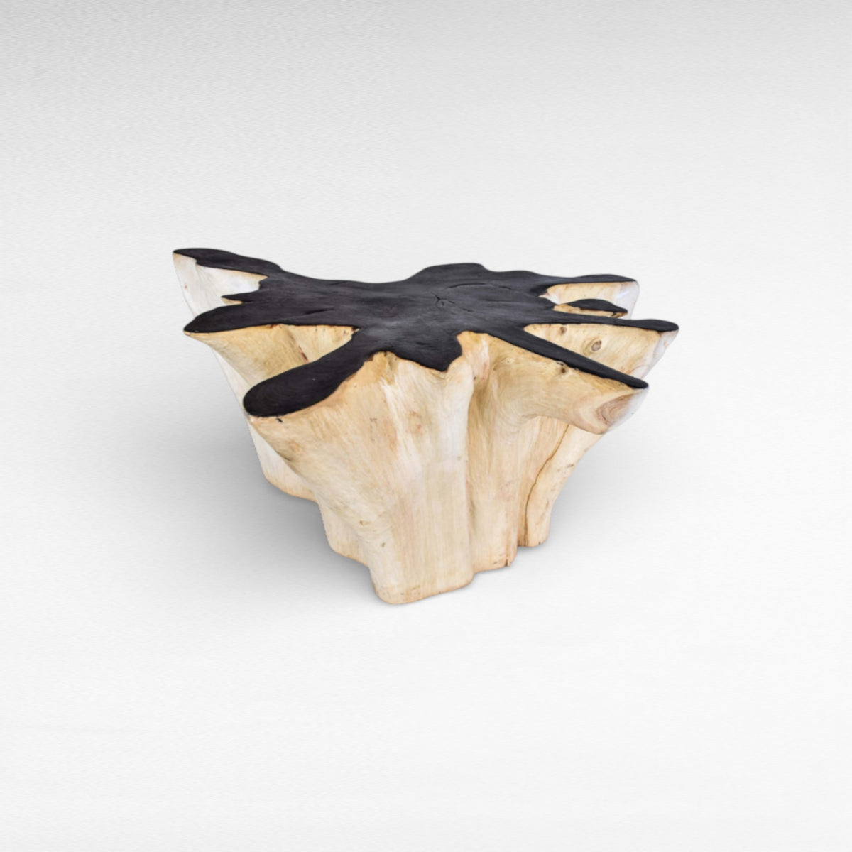 COFFEE TABLE BLEACHED & BLACK W110 |D100 |H45