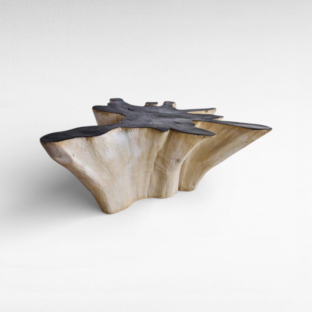 COFFEE TABLE BLEACHED & BLACK W110 |D100 |H45