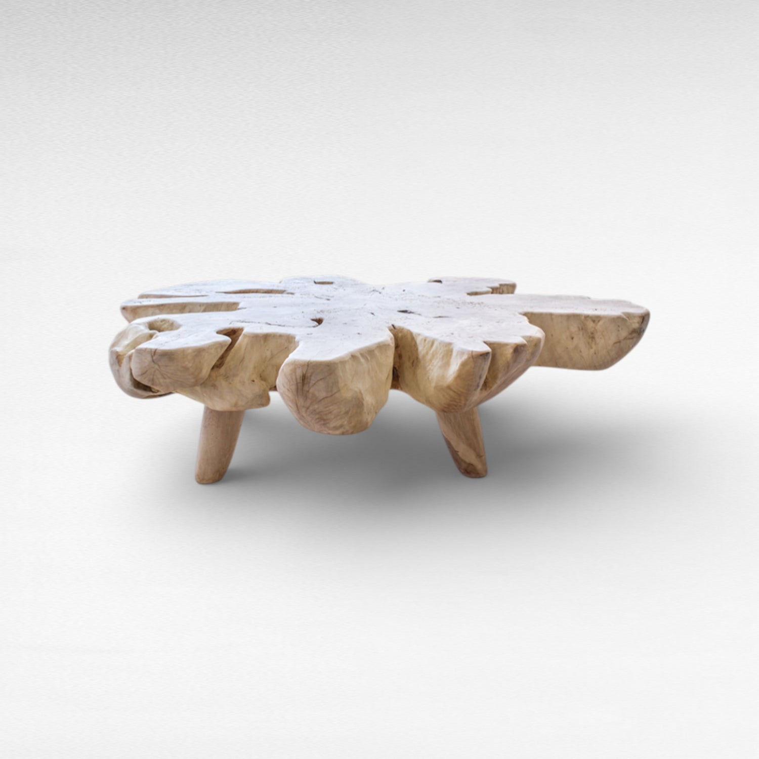 BLEACHED COFFEE TABLE EUPHORIA LONGANA WOOD W170 |D170 |H45 cm