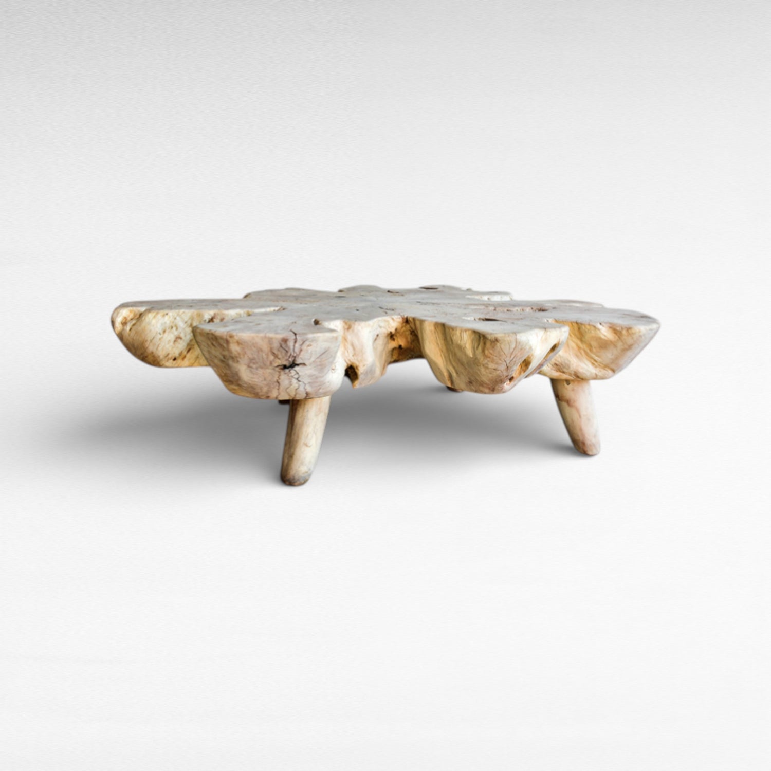 BLEACHED COFFEE TABLE EUPHORIA LONGANA WOOD W170 |D170 |H45 cm