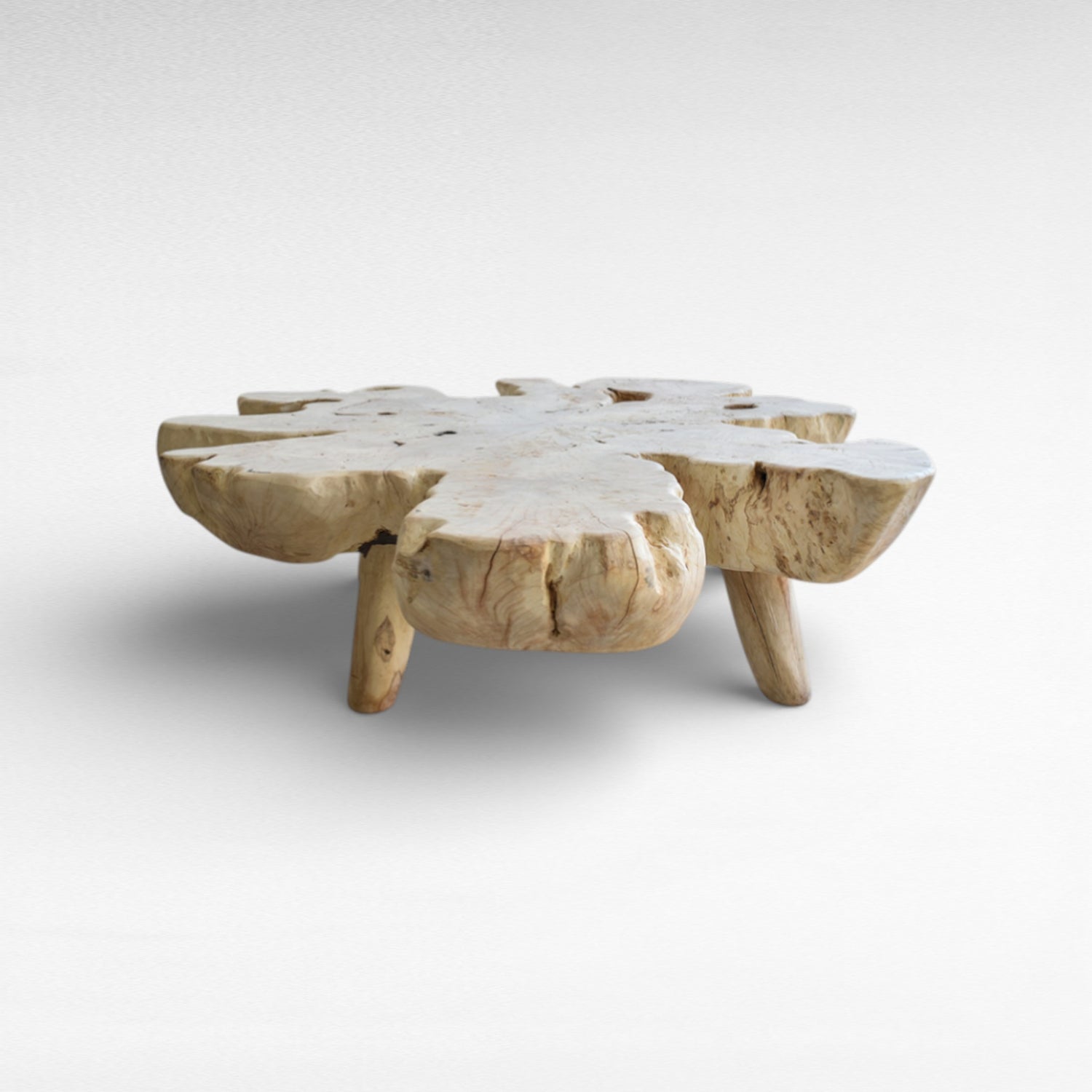 BLEACHED COFFEE TABLE EUPHORIA LONGANA WOOD W170 |D170 |H45 cm
