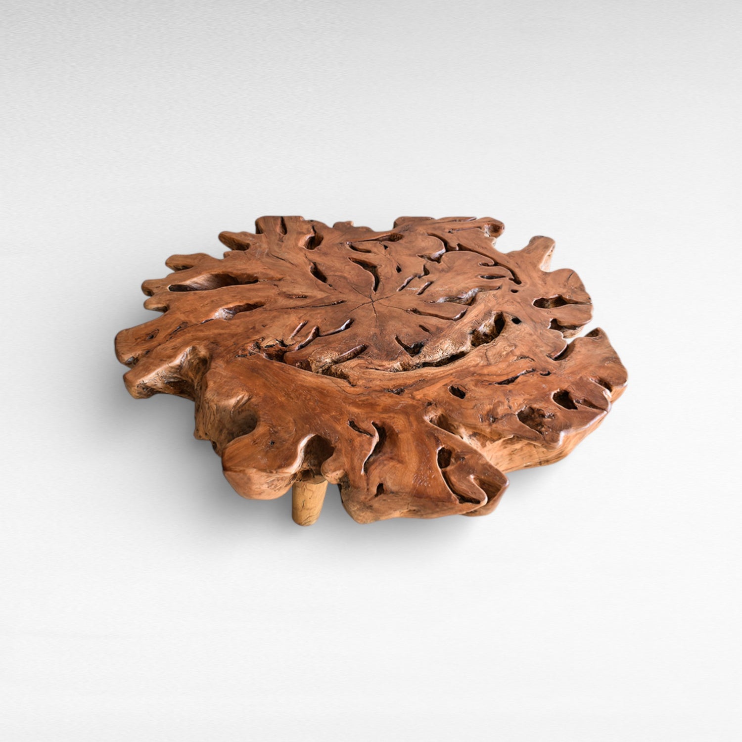 EUPHORIA LONGANA WOOD COFFEE TABLE W150 |D130 |H45 cm