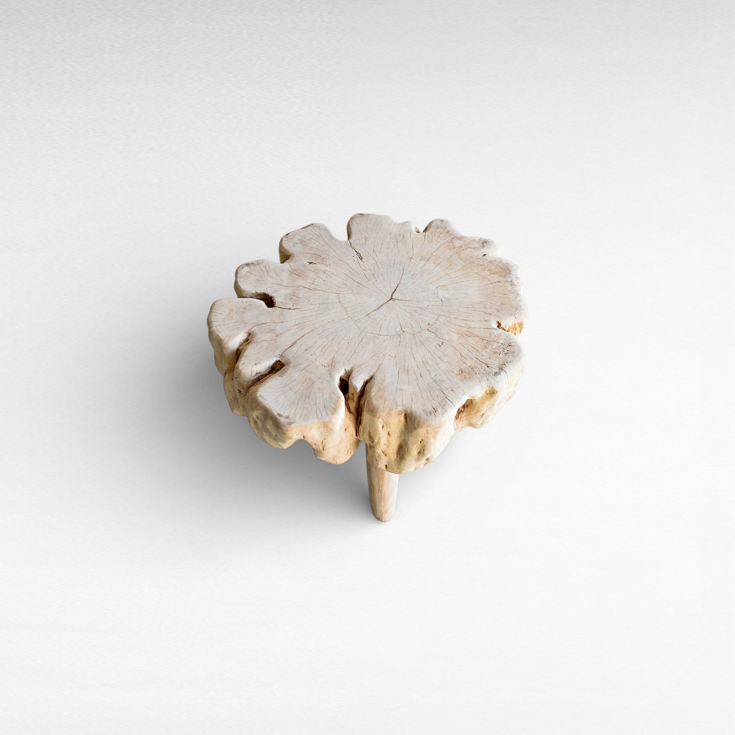 BLEACHED EUPHORIA LONGANA WOOD COFFEE TABLE W62 |D56 |H50 cm