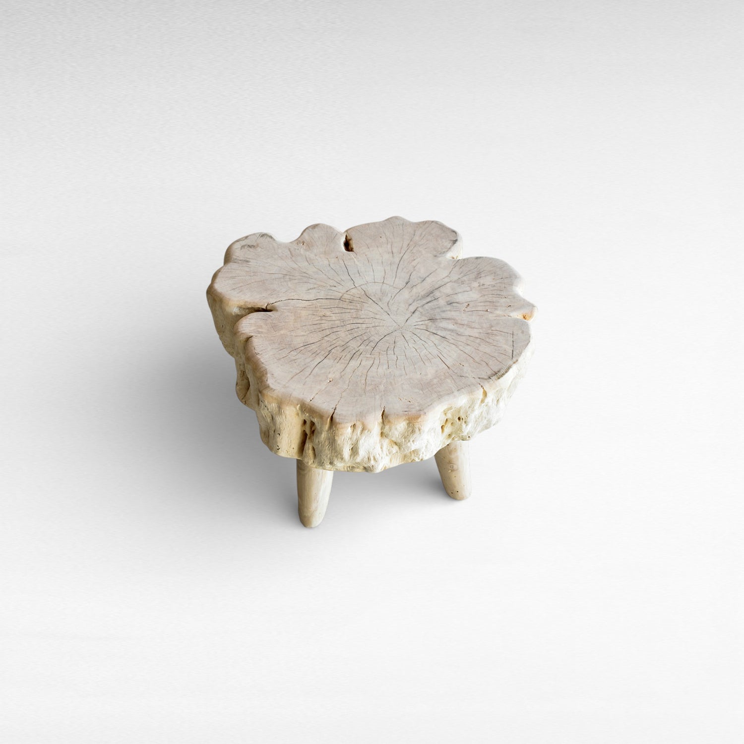 EUPHORIA LONGANA WOOD COFFEE TABLE BLEACHED W65 |D59 |H50 cm