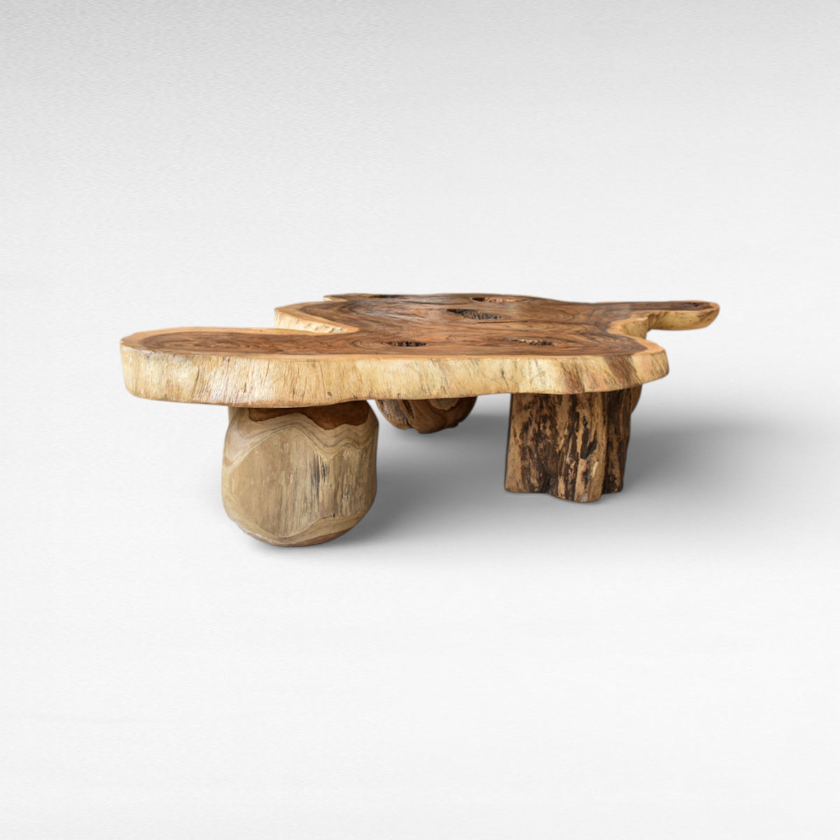LARGE ROOT COFFE TABLE W170 |D140 |H45 cm