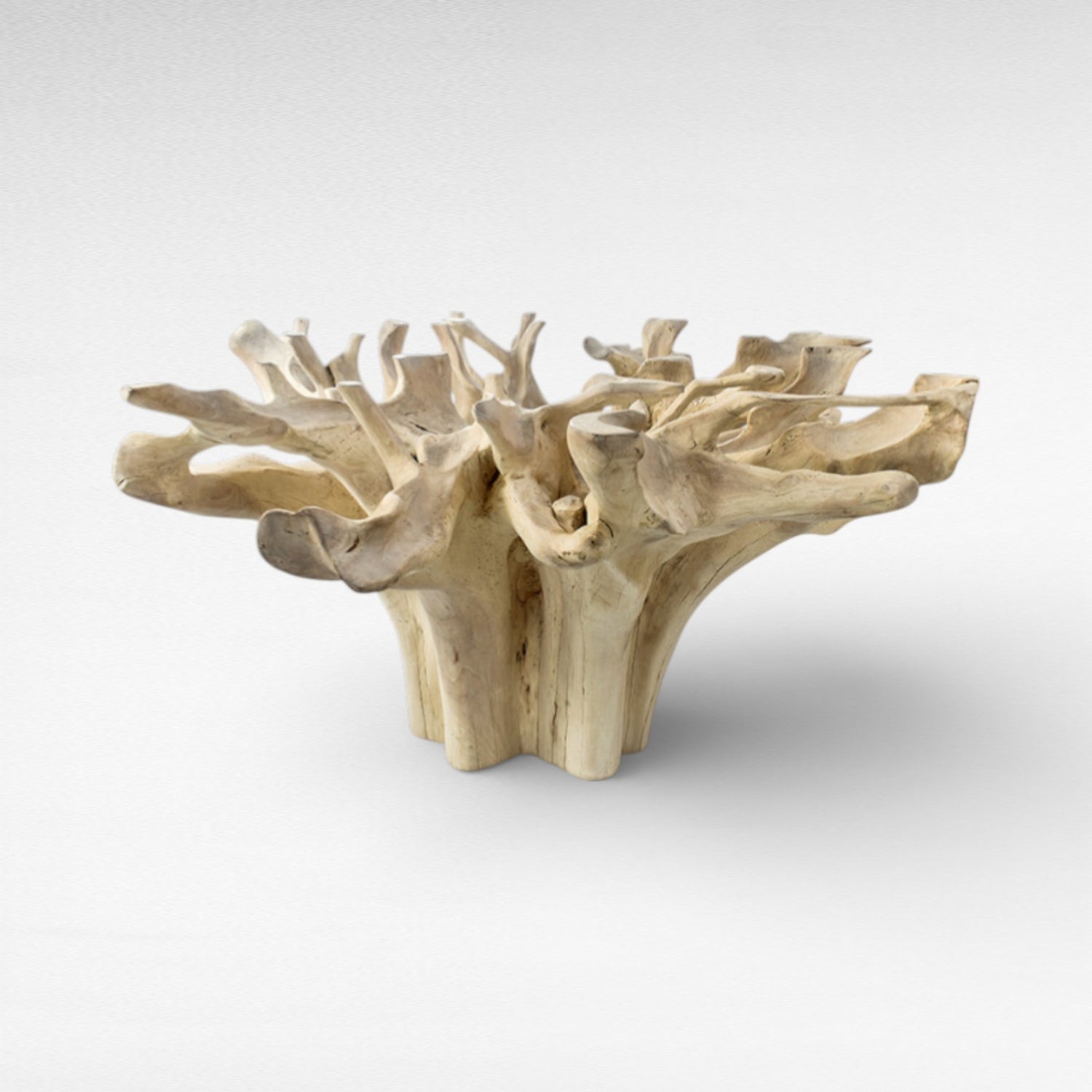 ROOT DINING TABLE WITH GLASS Φ150 |H80 cm