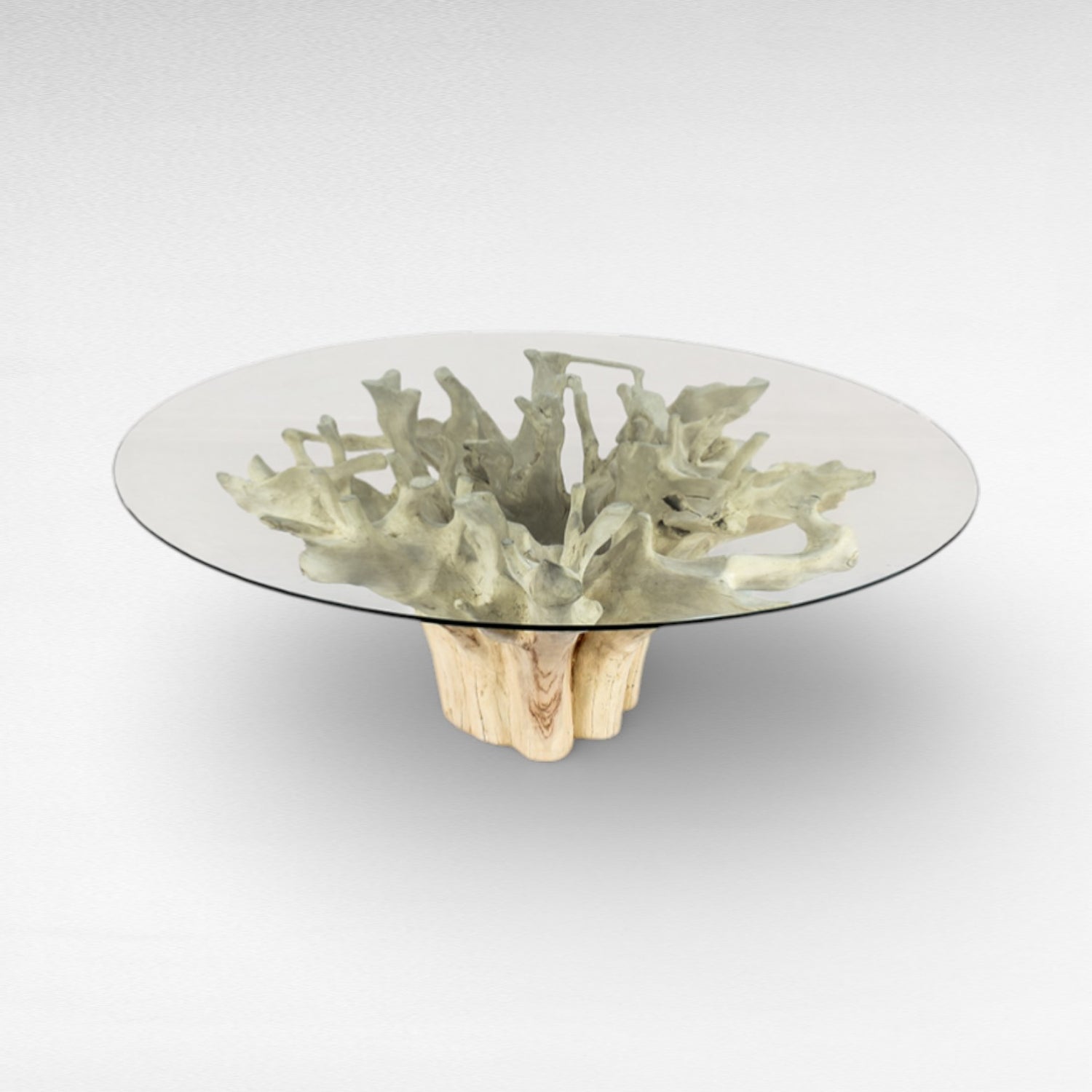 ROOT DINING TABLE WITH GLASS Φ150 |H80 cm