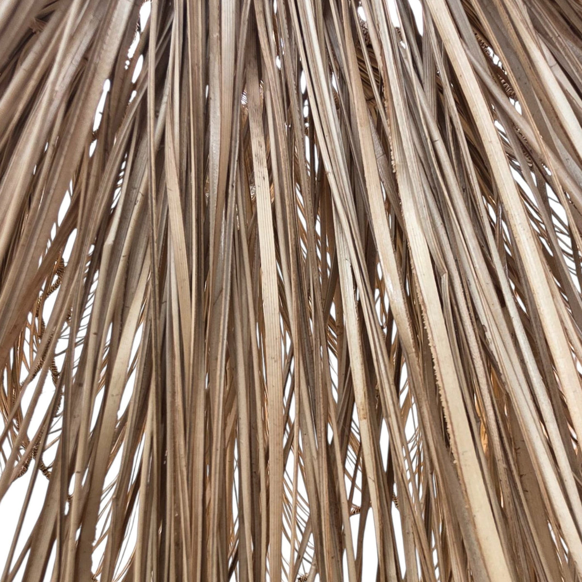 PENDANT LIGHT REED GRASS ON METAL FRAME Φ50 |H60 cm