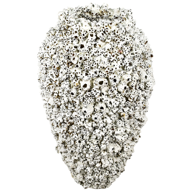 POT FULL CORAL 100 CM HEIGHT