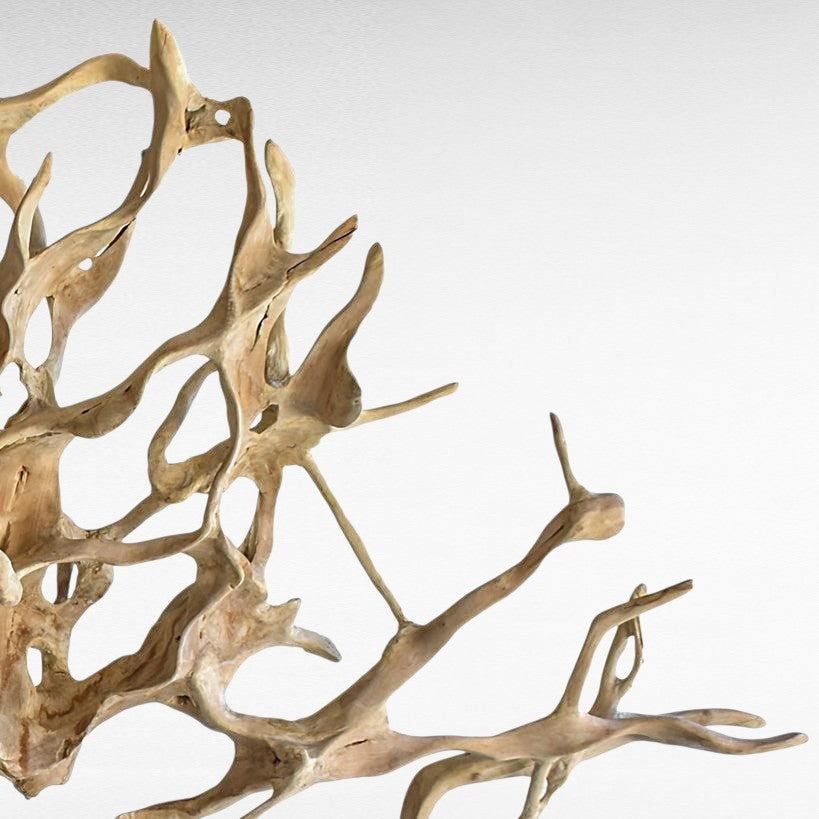 BLEACH TEAK WOOD ROOT DECOR 290x50x252cm - Chora Mykonos