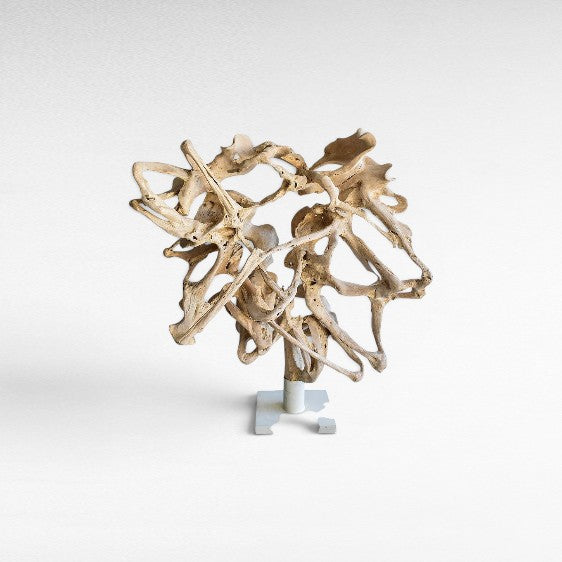 BLEACH TEAK WOOD DECOR ON BASE 165x80x190cm - Chora Mykonos